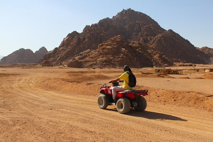 Quad Biking Safari-Camel Ride-Bedouin Dinner and Shows From Sharm