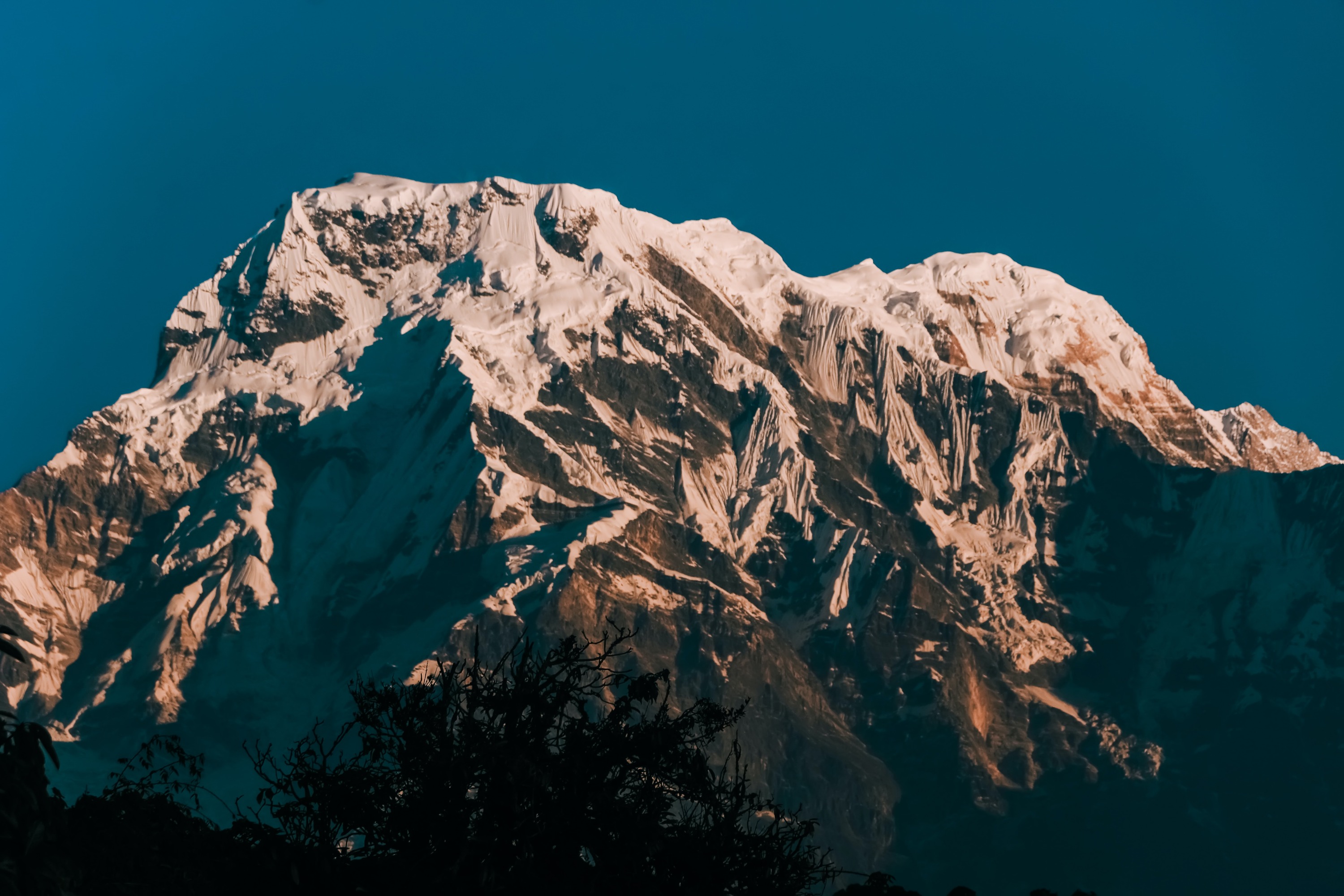 Pokhara: 3-Day Ghorepani and Poon Hill Trek