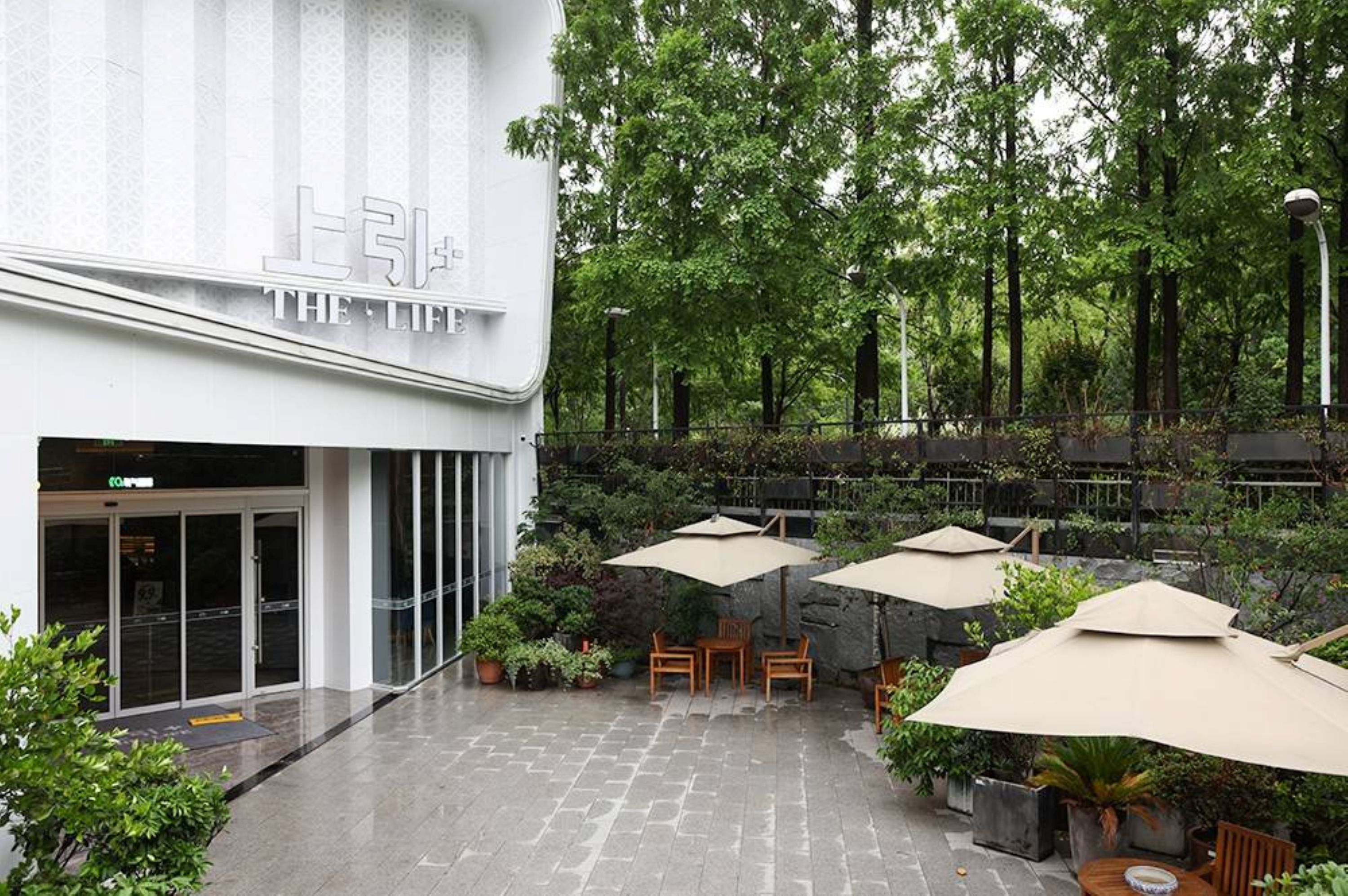 上引+ SPA中心 | 近高鐵上海站