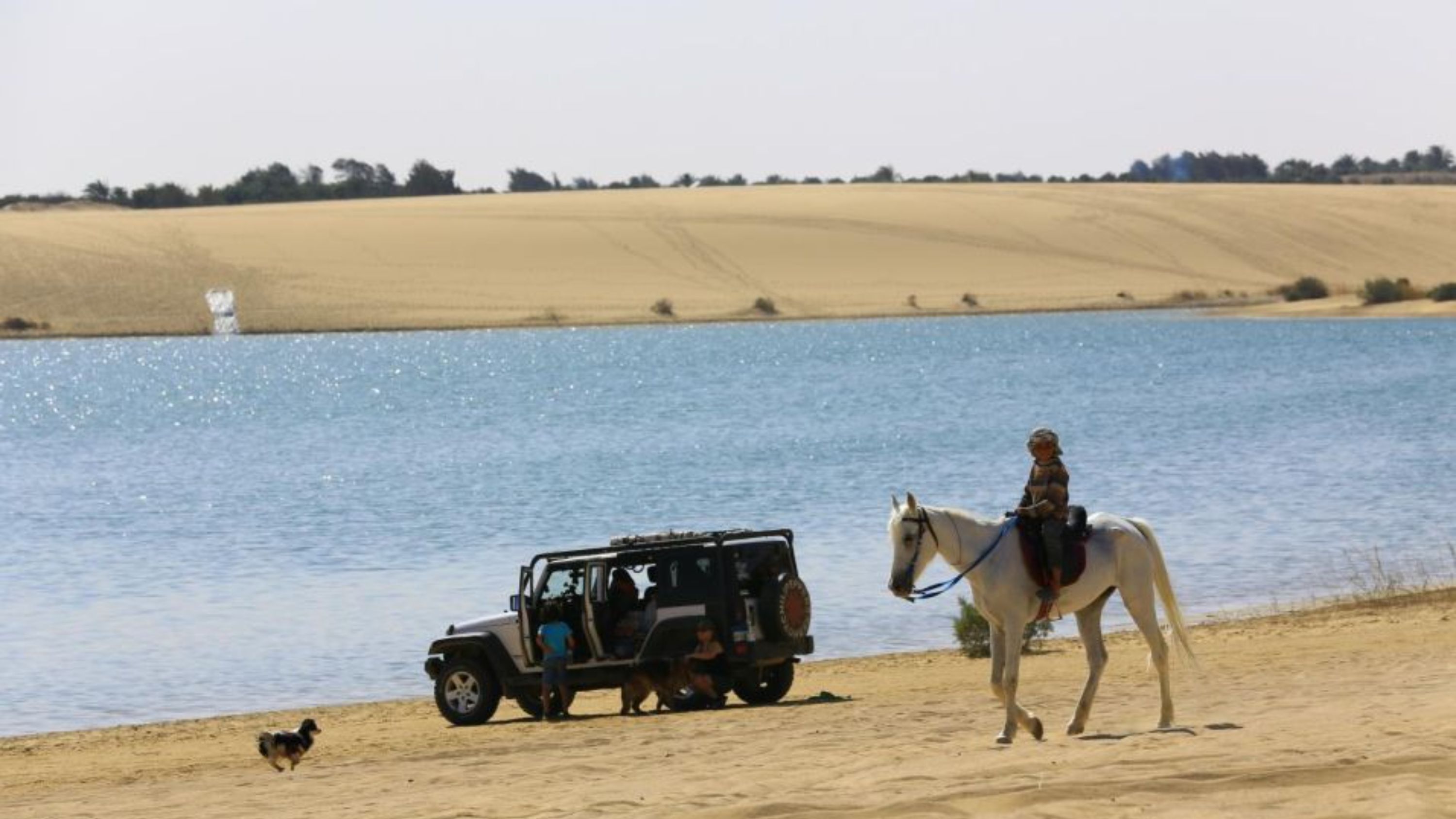 騎馬穿越紅海清澈的海水,享受獨特的體驗 騎馬穿越紅海清澈的海水,享受獨特的體驗