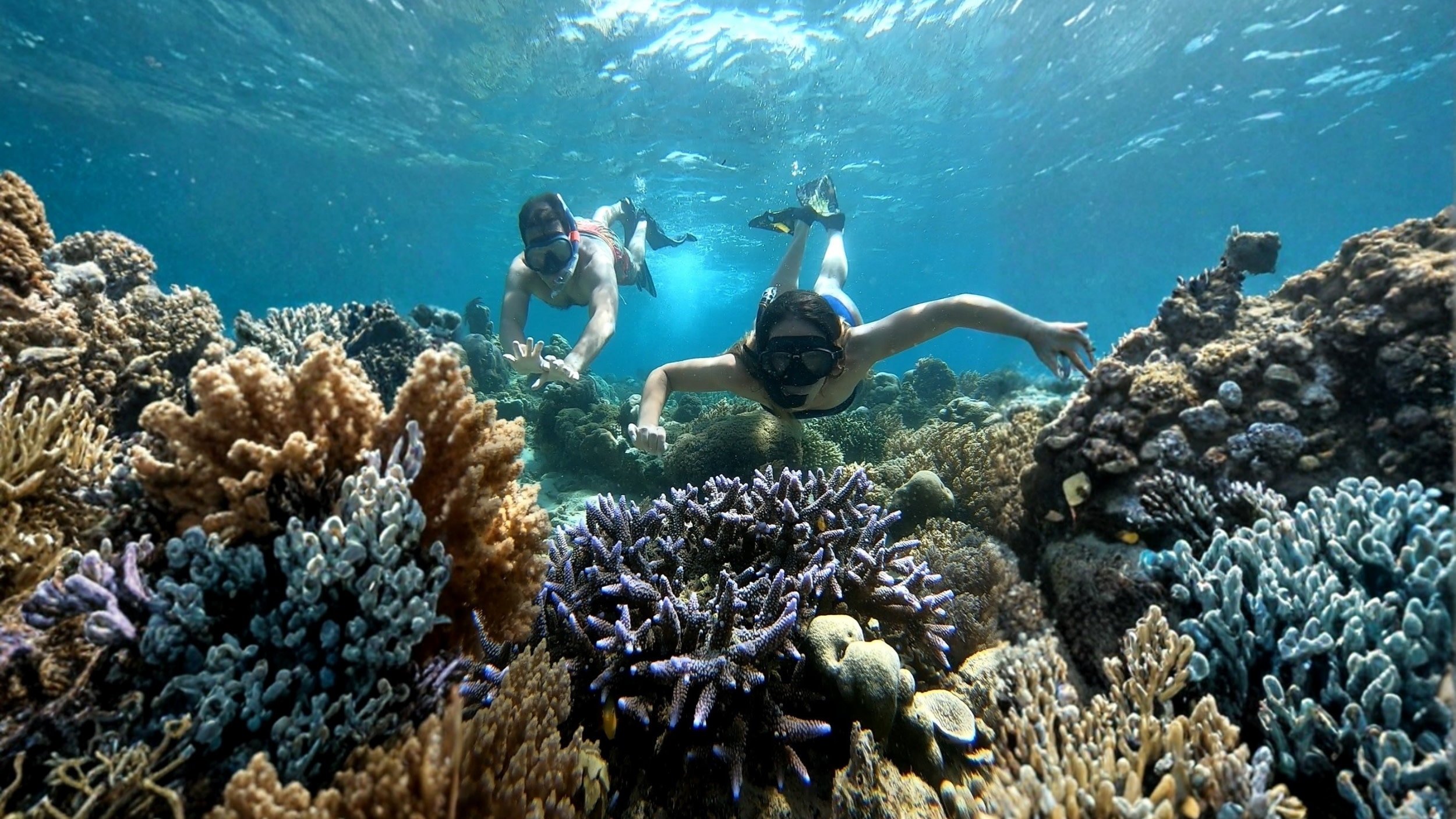 Secret Islands Private Snorkeling Tour in Lombok with GoPro