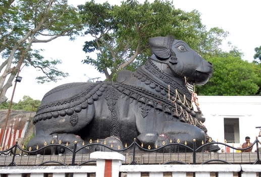 邦加羅爾 (Bangalore) 全日城市觀光