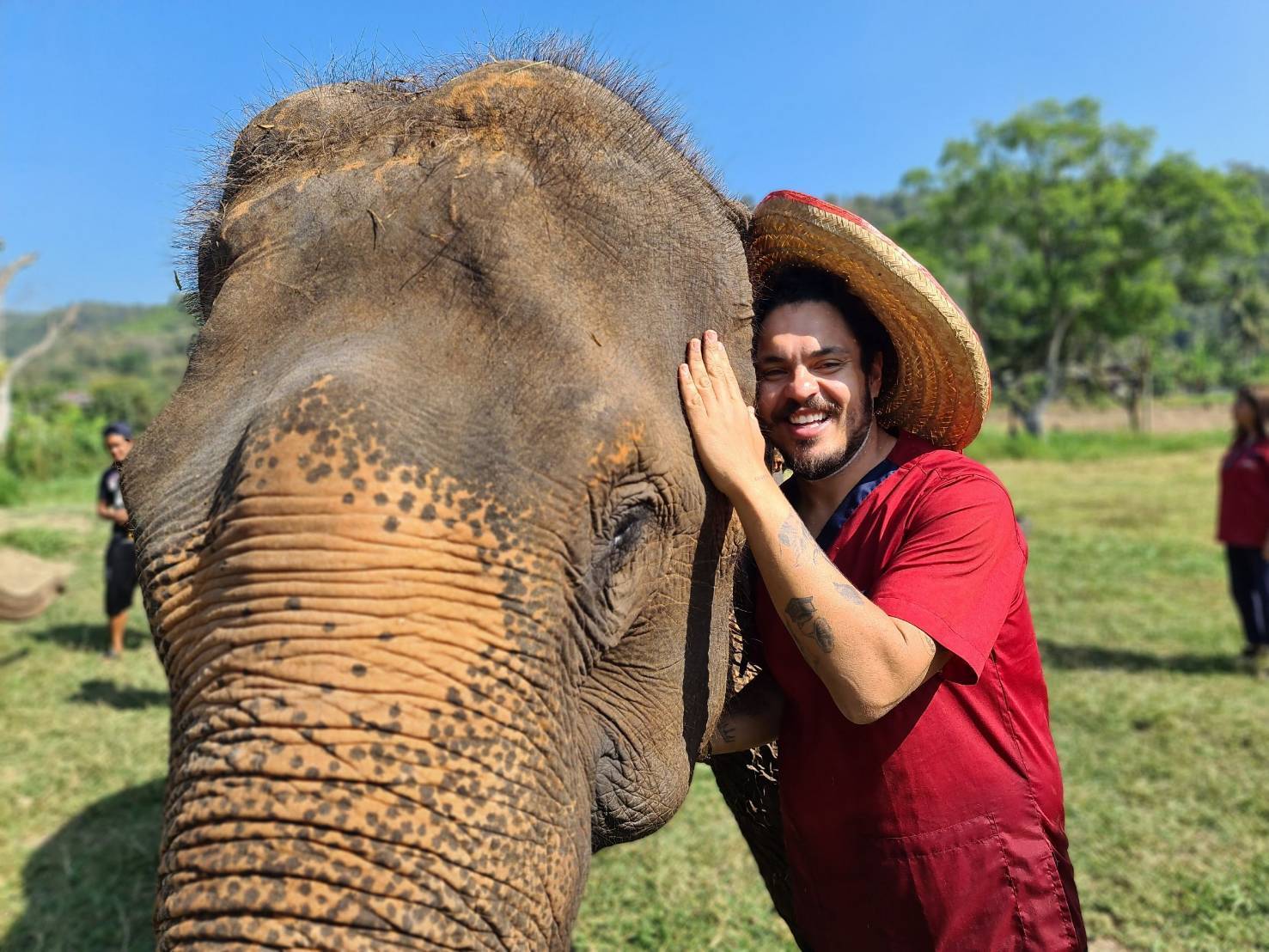 清邁Ran Tong大象保護中心體驗