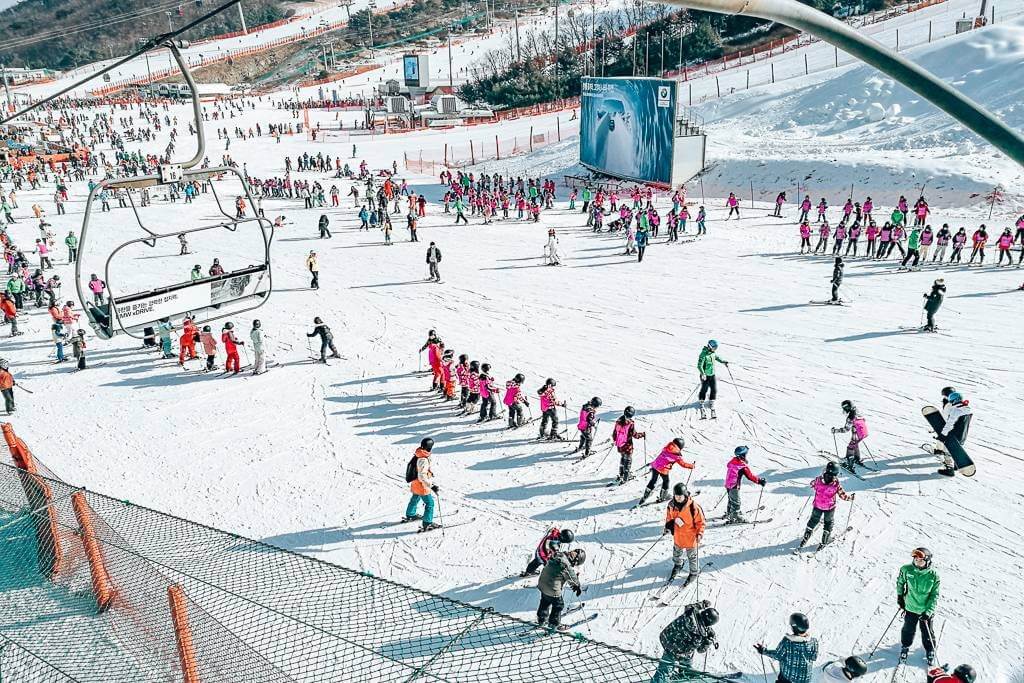 Vivaldi park is one of Korea’s premier ski and entertainment resorts, located in Gangwon‑do, approximately 1.5 hours drive from Seoul.
