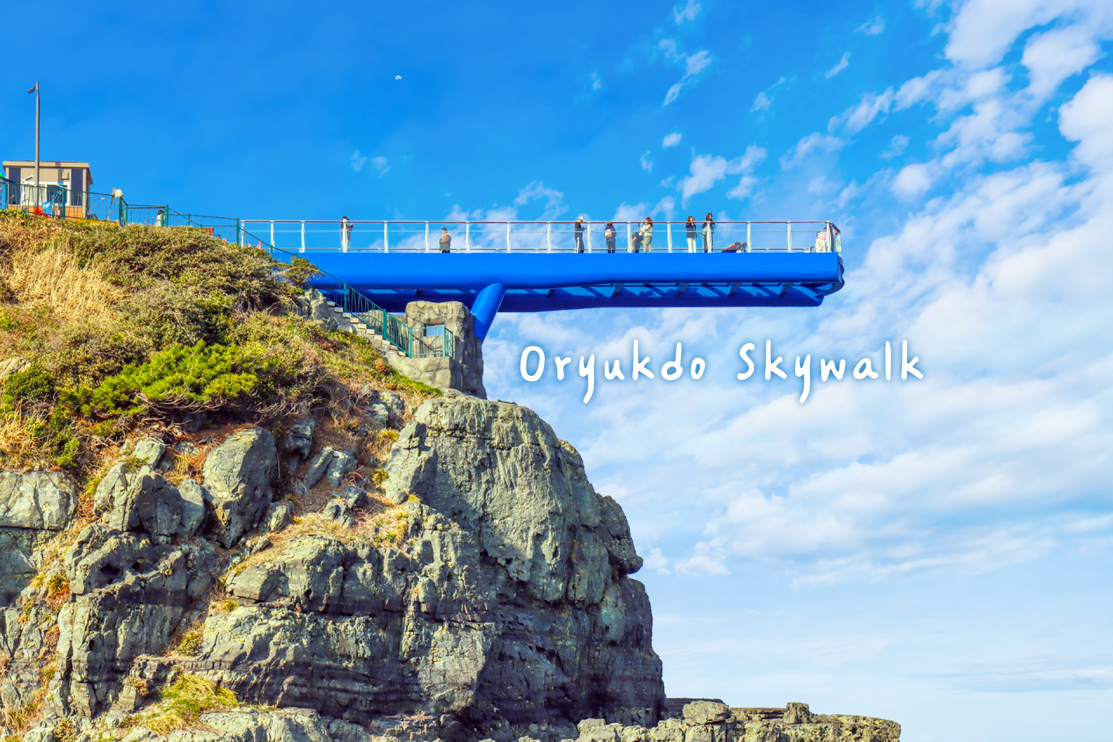 Busan City One day tour : Haeundae Sky Capsule, Beach Train, Skywalk
