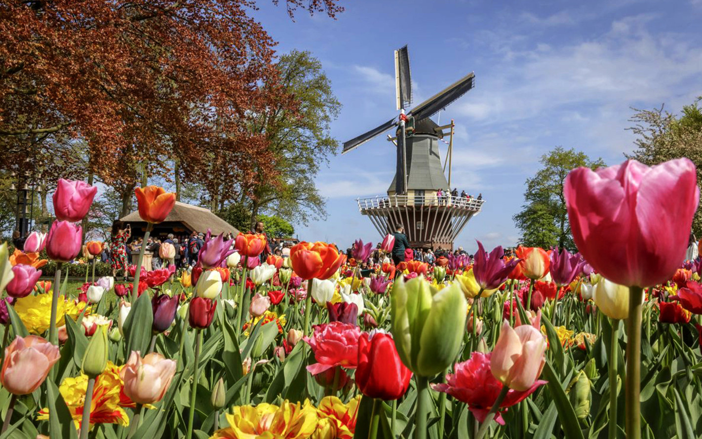 Keukenhof, Zaanse Schans & Volendam tour from Amsterdam