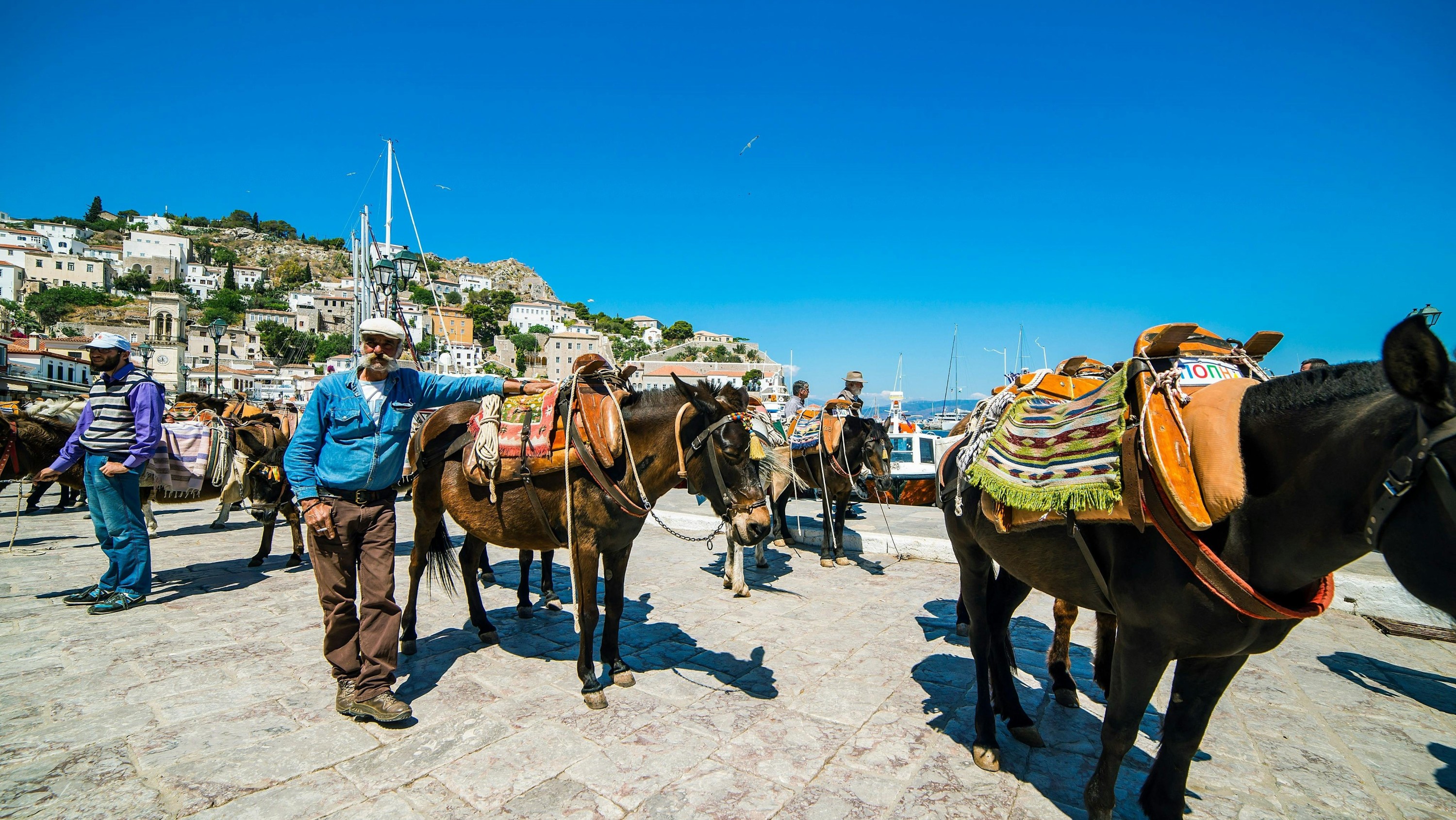 Hydra, Poros and Aegina one-day cruise tour with lunch from Athens