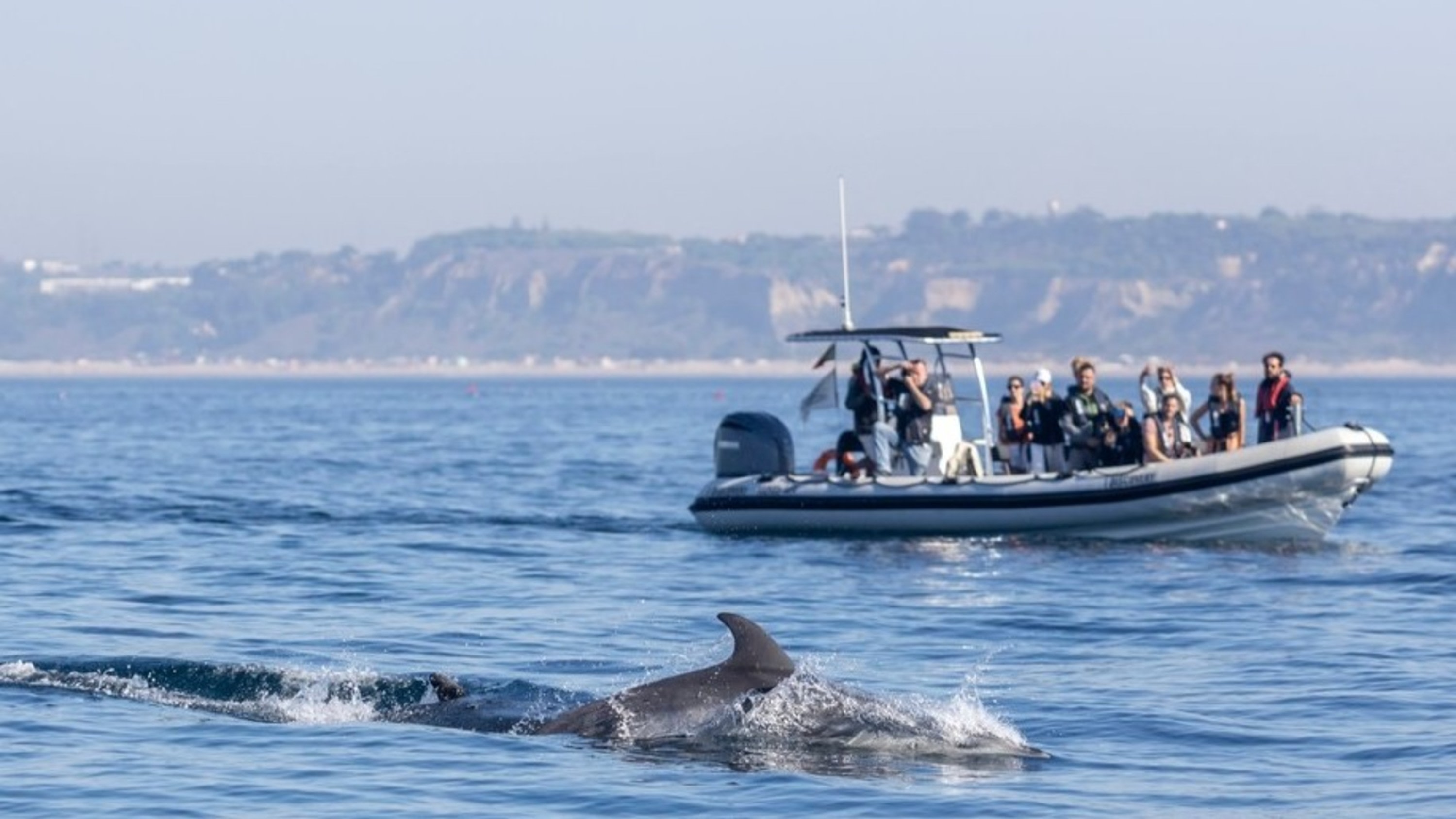 Lisbon 25 April Bridge Half-Day Small Group Tour