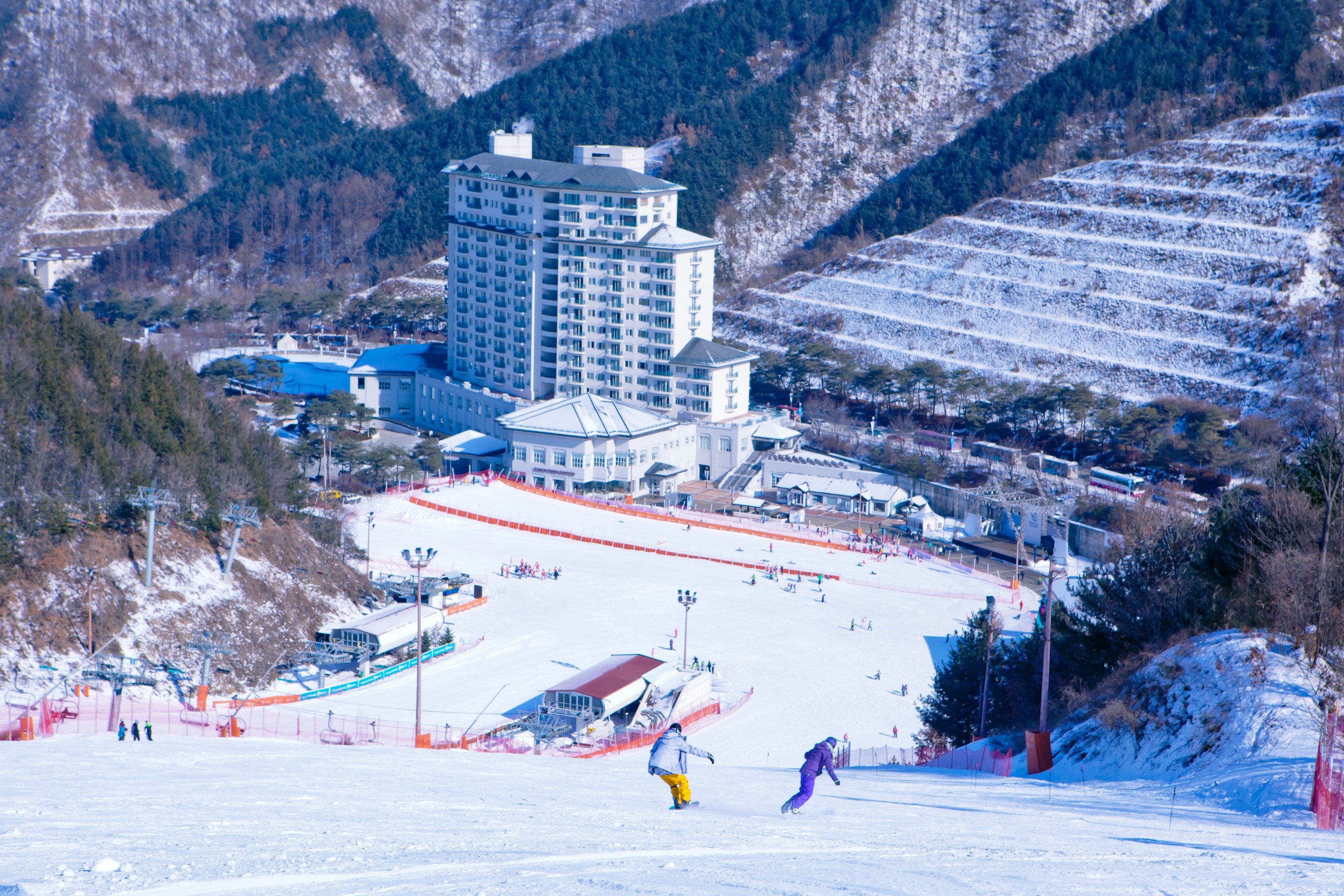 Elysian Gangchon / Jisan / Alpensia / Yong Pyong Private Ski Tour