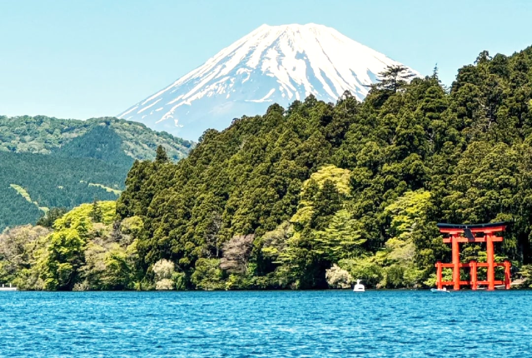 富士山箱根網紅打卡/蘆之湖遊船一日遊 （東京出發）
