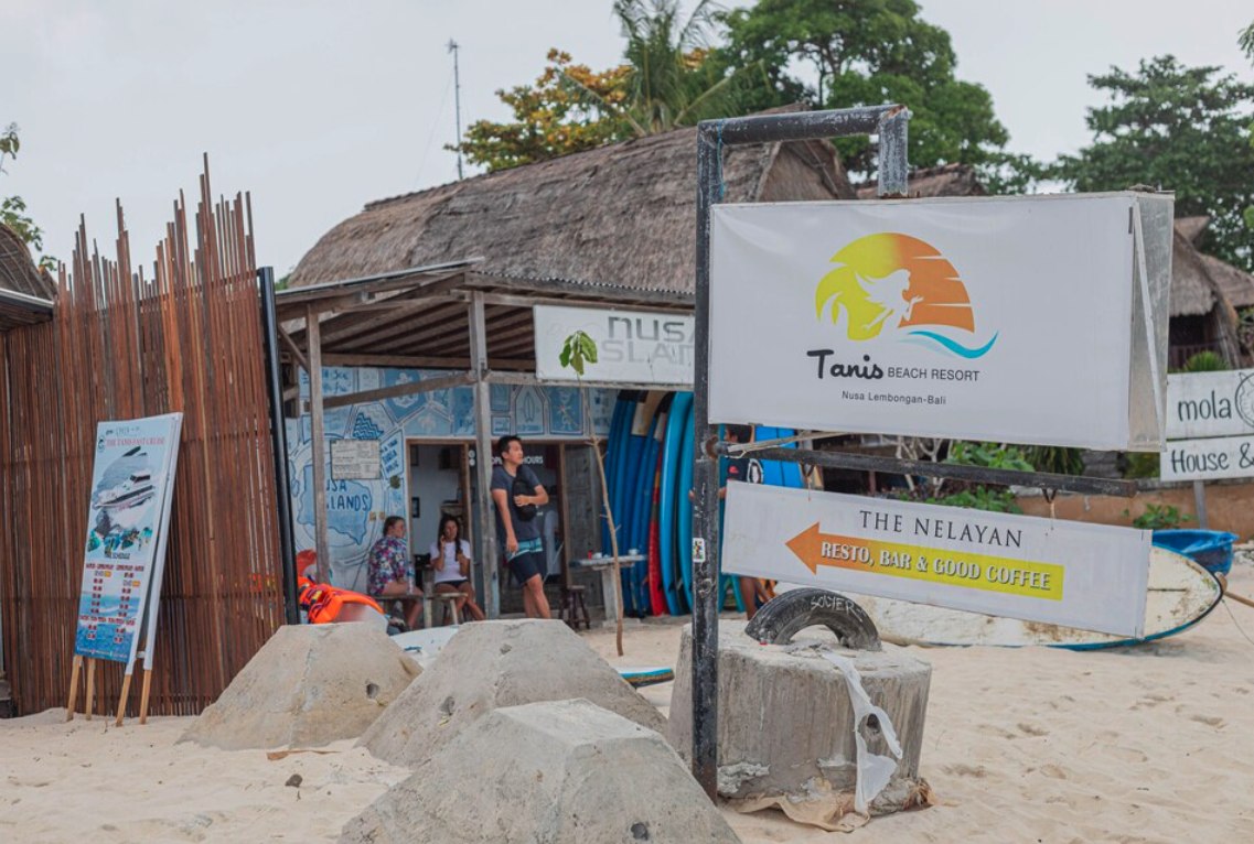 tanis fast cruise fast boat