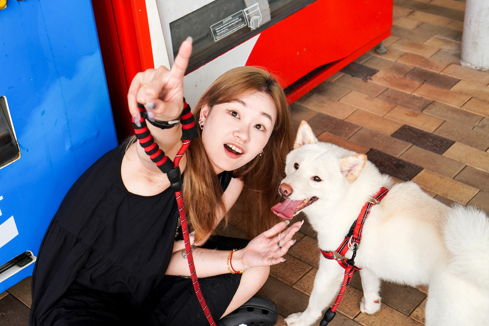 Kwun Tong, Hong Kong Pet Photography (STUDIO) | Kwun Tong Studio + Kwun Tong Waterfront