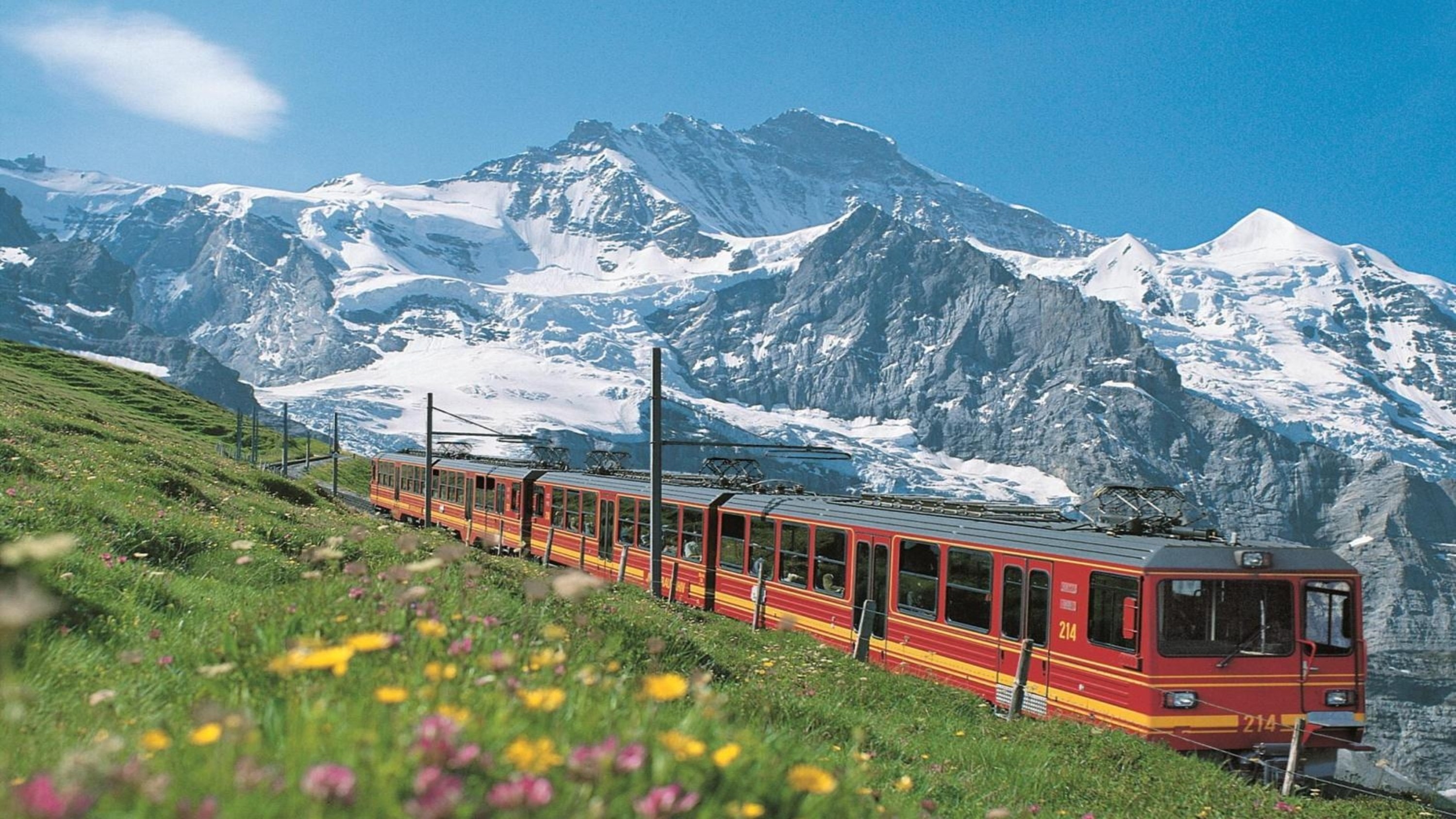 Zurich Jungfraujoch & Bernese Alps Full-Day Small Group Tour