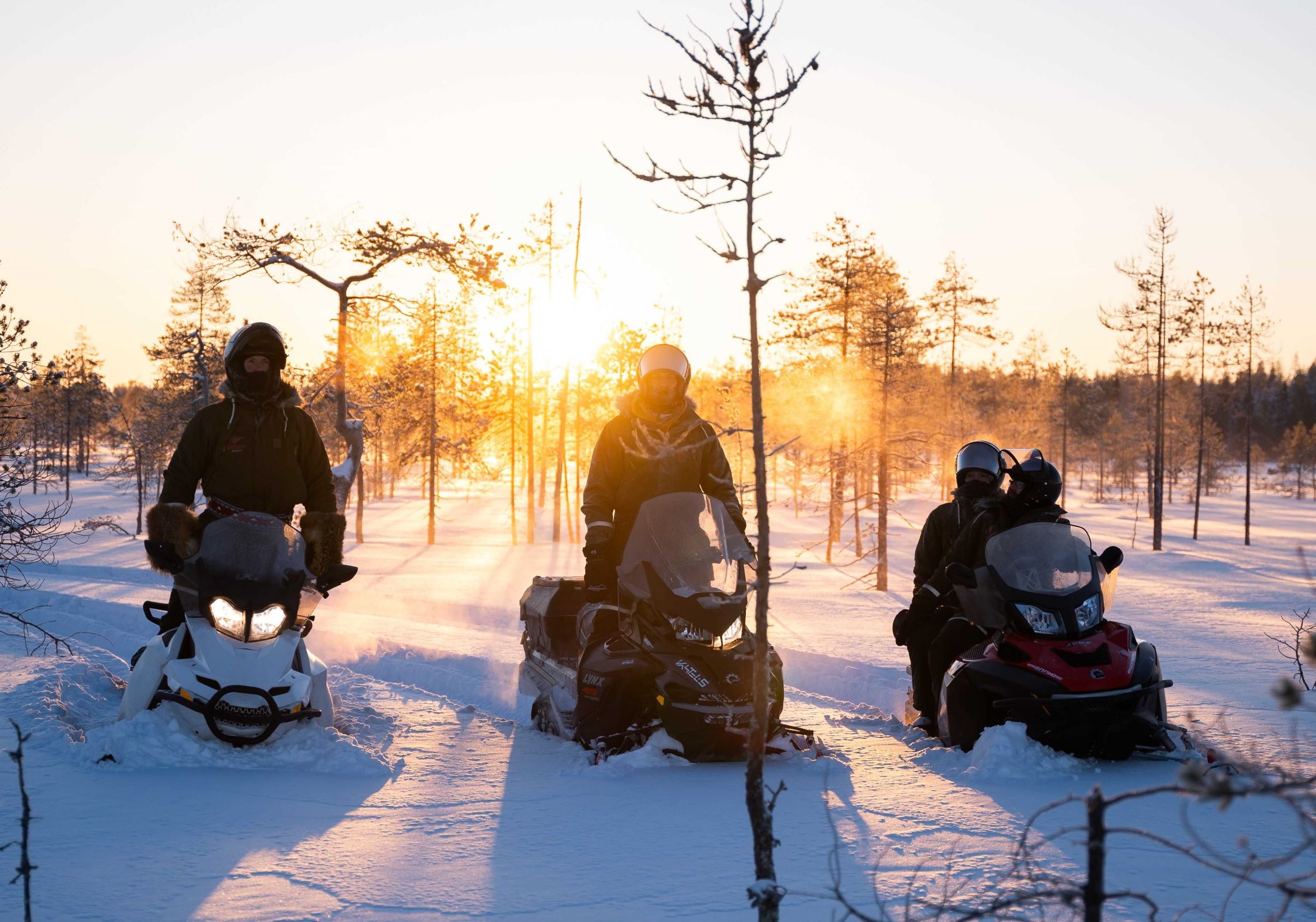 Snowmobiling Adventure Ranua