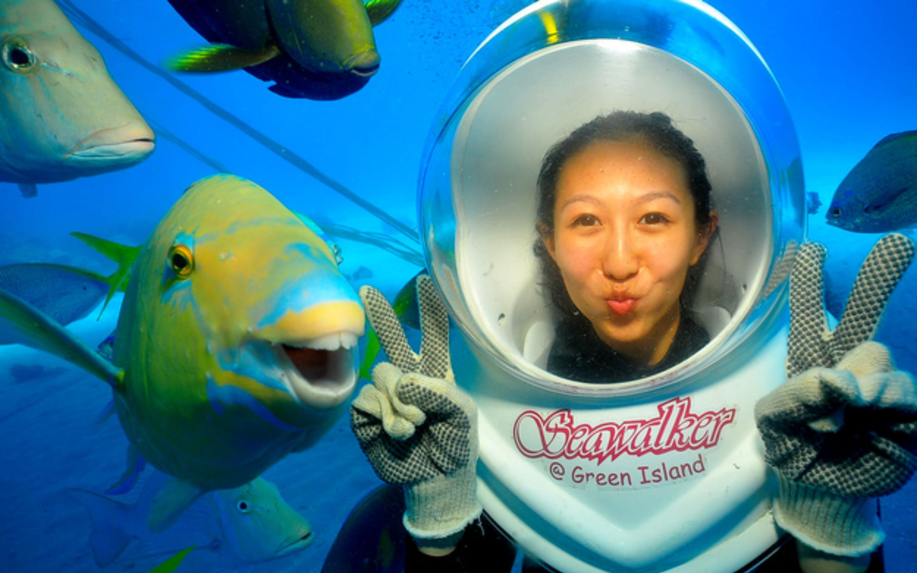 輕鬆潛入水下,探索充滿驚奇的奇幻世界。 輕鬆潛入水下,探索充滿驚奇的奇幻世界。