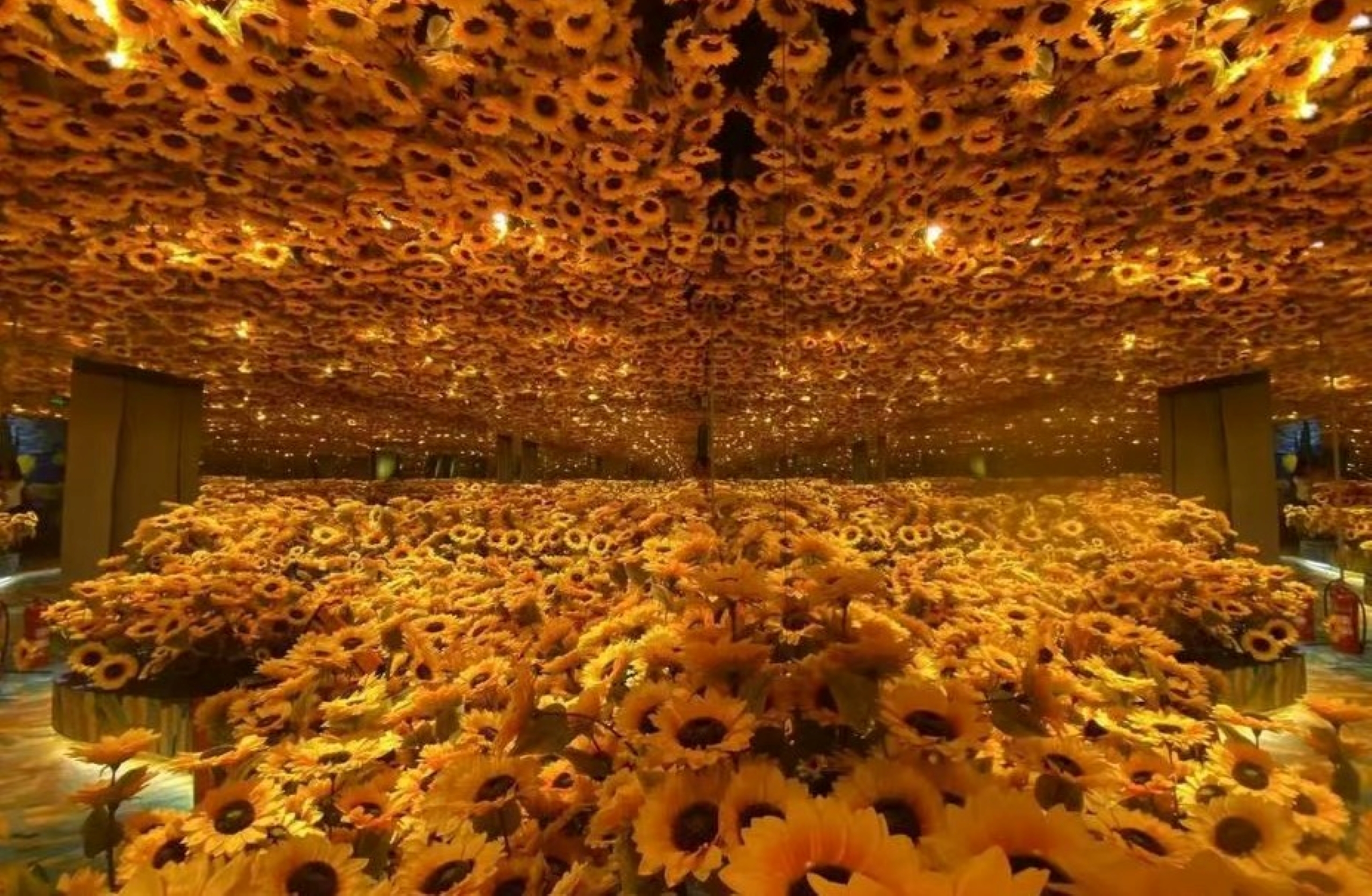 三面鏡屋重現了 1888 年盛夏梵高筆下的向日葵花海，觀眾彷彿跌入了一片燦爛的花海之中