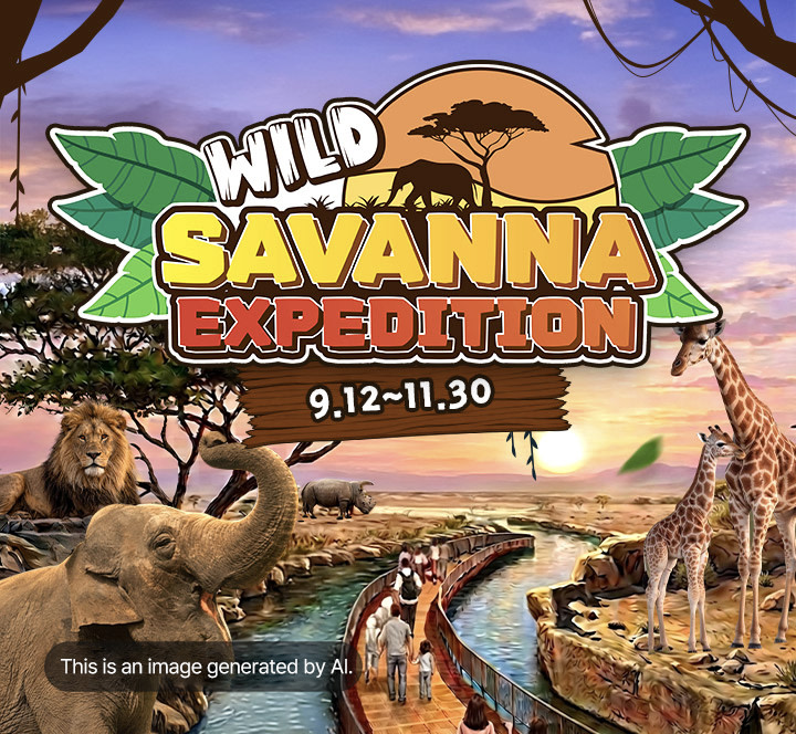 Everland Koreya chiptasi