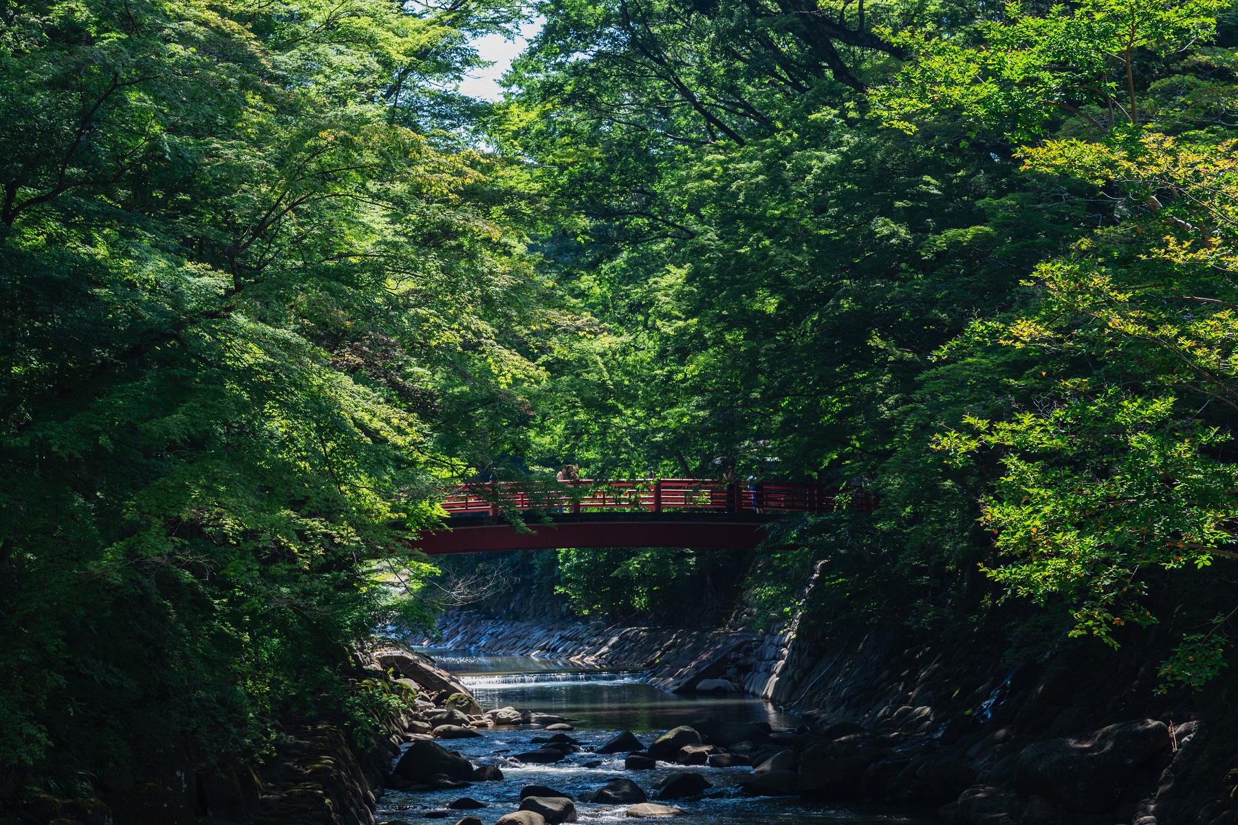 伊豆半島: 大室山 & 城崎海岸 & 伊豆全景公園 & 小室山 & 來宮神社 & 富士山絕景攝影地2日遊 (入住伊豆溫泉飯店)
