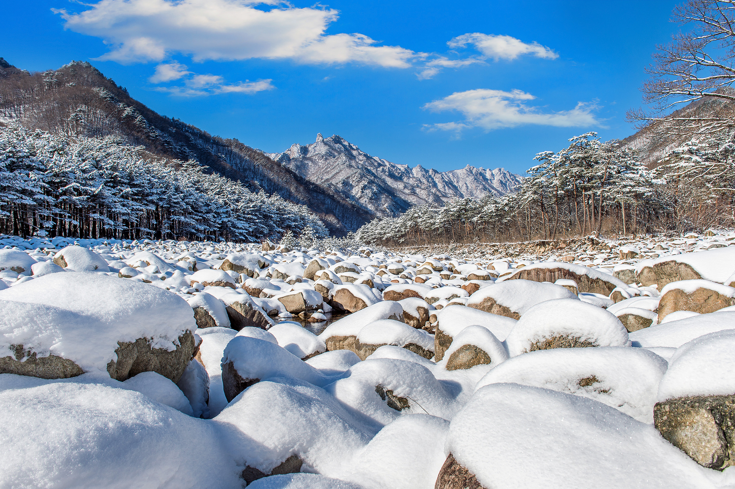 跟隨專業導遊，一同探索韓國雪嶽山的壯麗山峰與寧靜小徑。