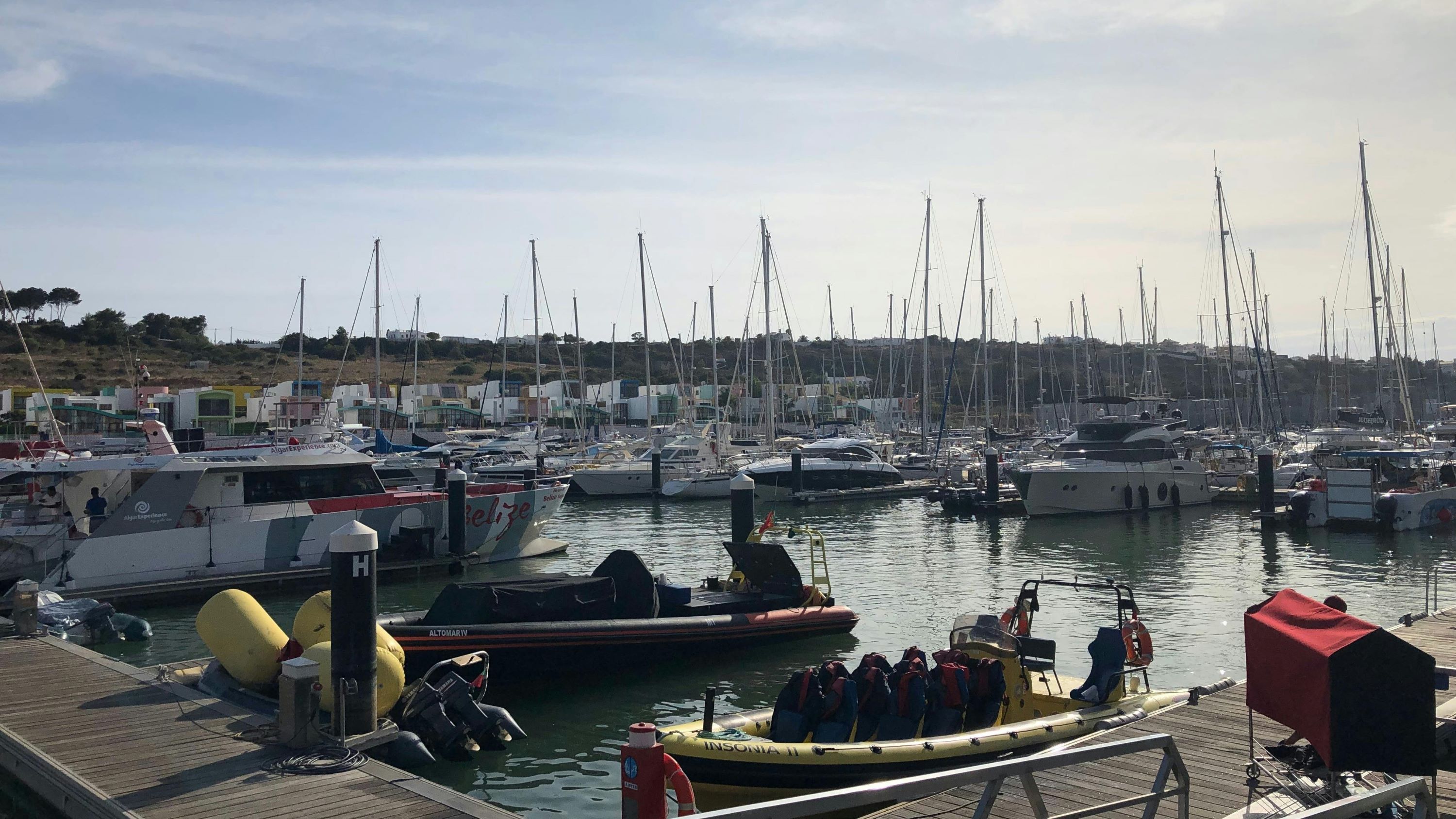 Benagil Cave and Ddolphin watching boat tour in Albufeira