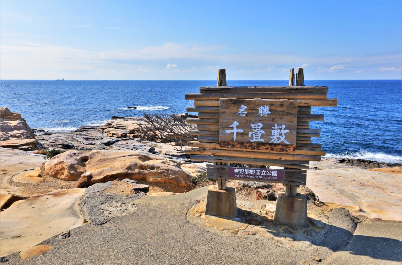 小眾和歌山一日遊｜toretore市場-金槍魚解體秀 & 白濱溫泉 & 邂逅貓站長 & 打卡千畳敷、三段壁｜大阪發車