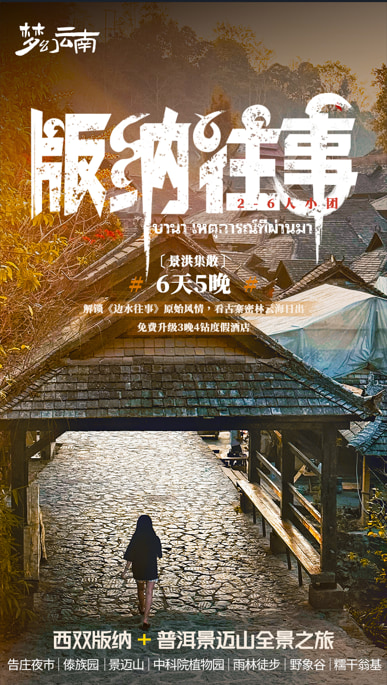雲南版納往事6日（告莊夜市+傣族園+景邁山+中科院植物園+雨林徒步+野象谷+糯幹翁基古寨）