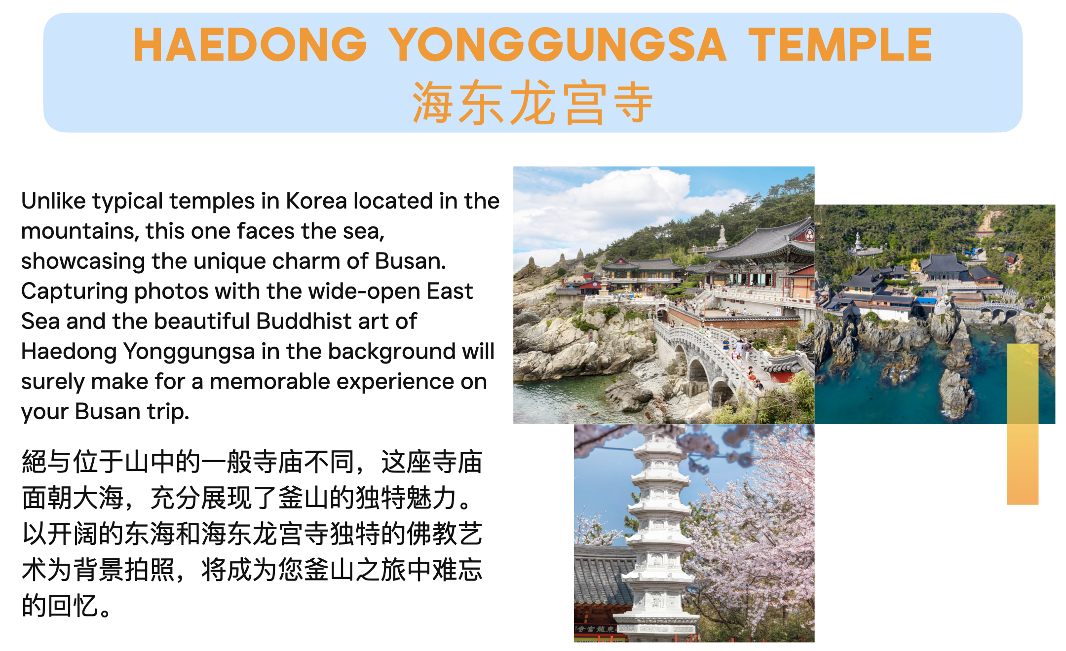 東釜山小團攝影之旅（最多7人）