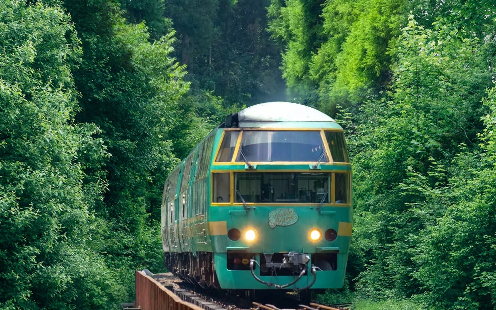 Kyushu Yufuin no Mori Sightseeing Train | Hells of Beppu + Kyushu Natural Animal Park + Yufuin + Mt. Yufu Trailhead | Departure from Fukuoka | Chinese, English, and Japanese Speaking Guide