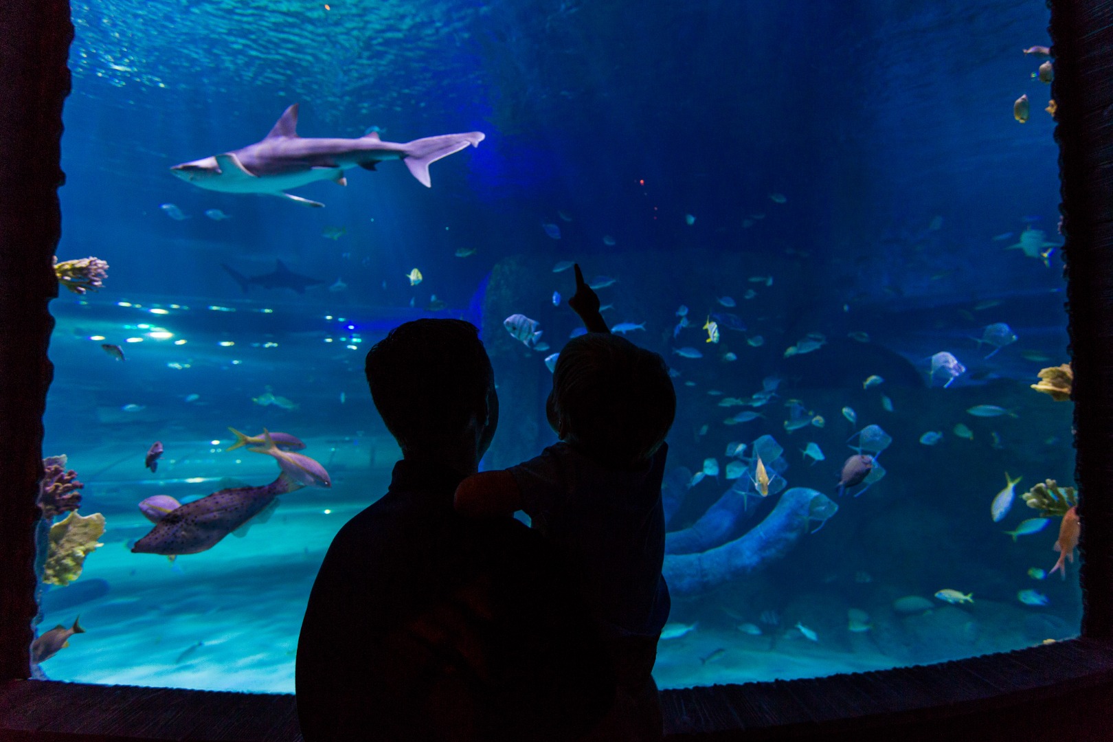 巴黎水族館門票