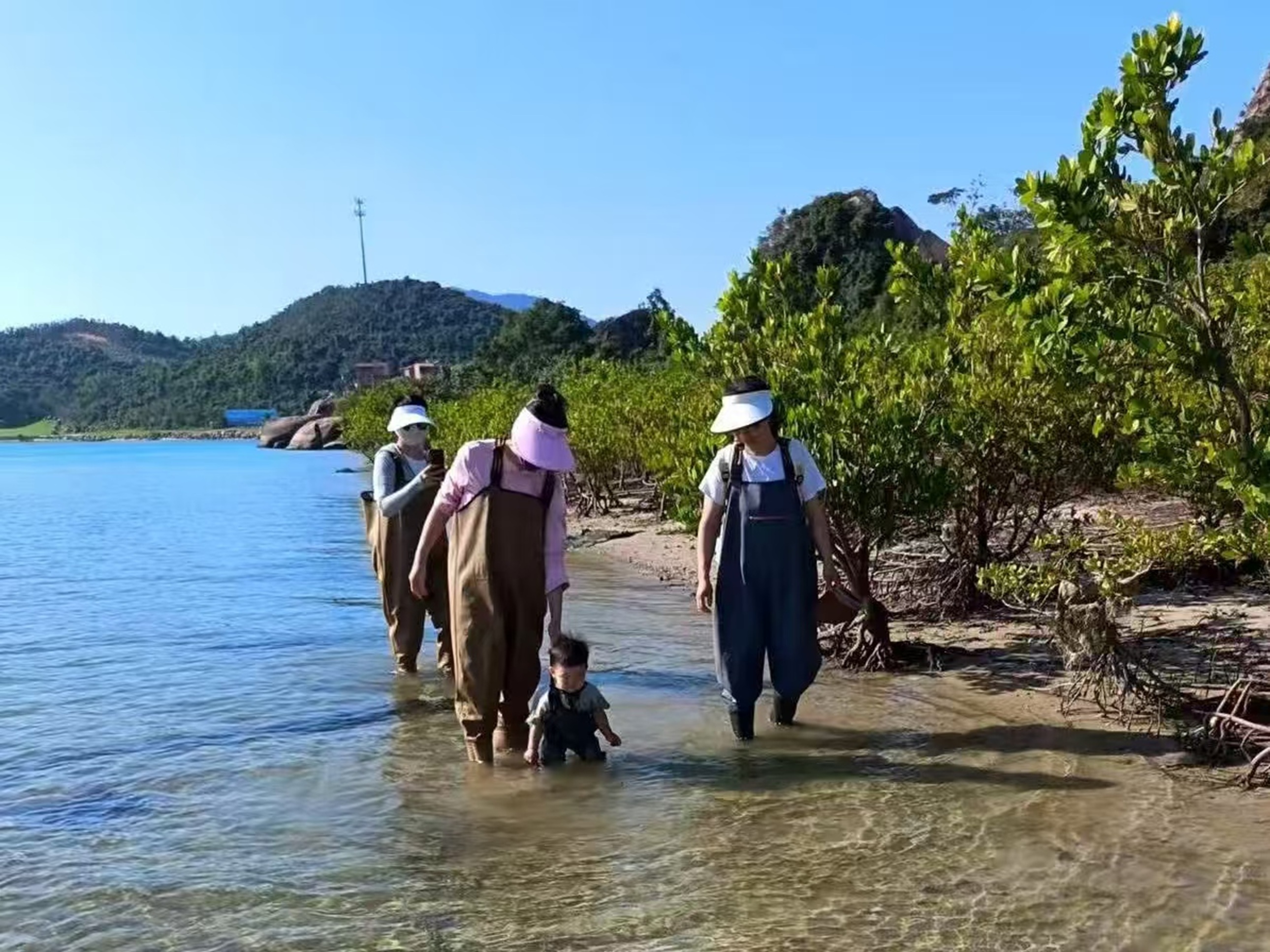 穿防水服的人帶著幼童踩水趕海，淺灘旁是紅樹林與青山，是親子沉浸式體驗趕海的溫馨場景