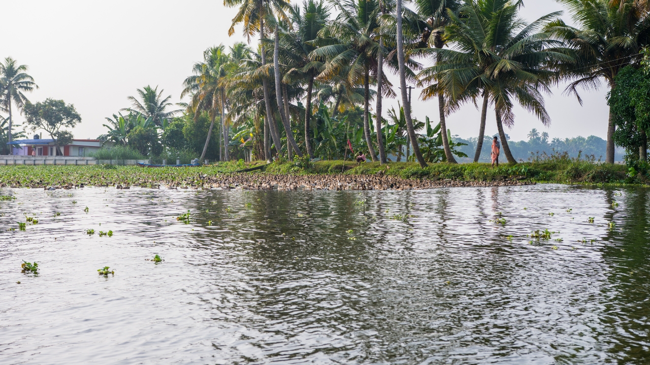 Cochin: 4-Day Private Tour of Munnar, Alleppey & Backwaters