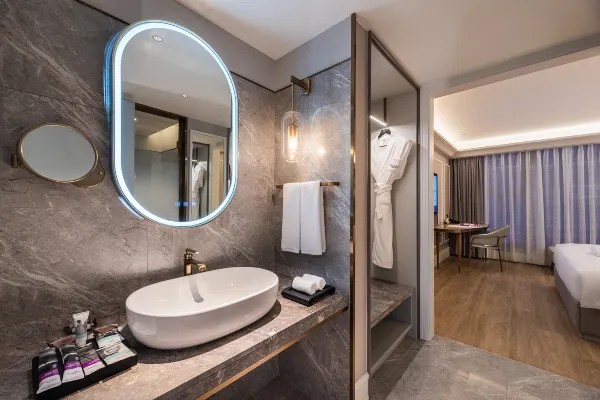 Hotel Guest Room Bathing Area Environment Display Image