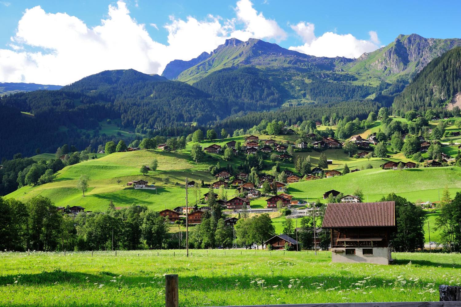 Interlaken and Grindelwald Guided Tour 