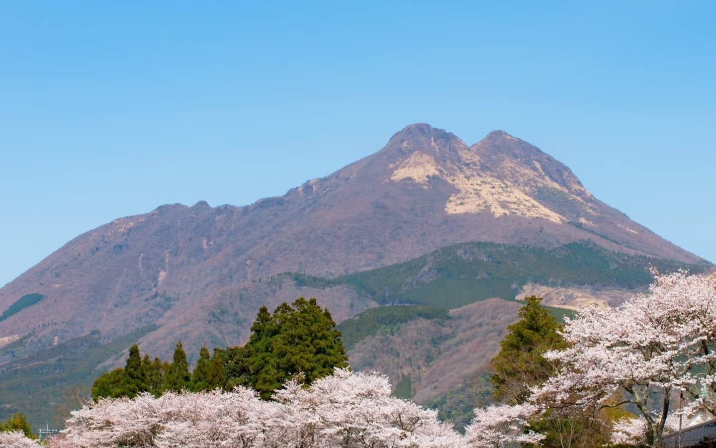 Fukuoka Chartered Day Tour | Chinese Driver and Guide · 10-Hour Private Transfer | Multiple Routes Available or Customizable in Fukuoka/Nagasaki/Oita/Kumamoto/Takachiho