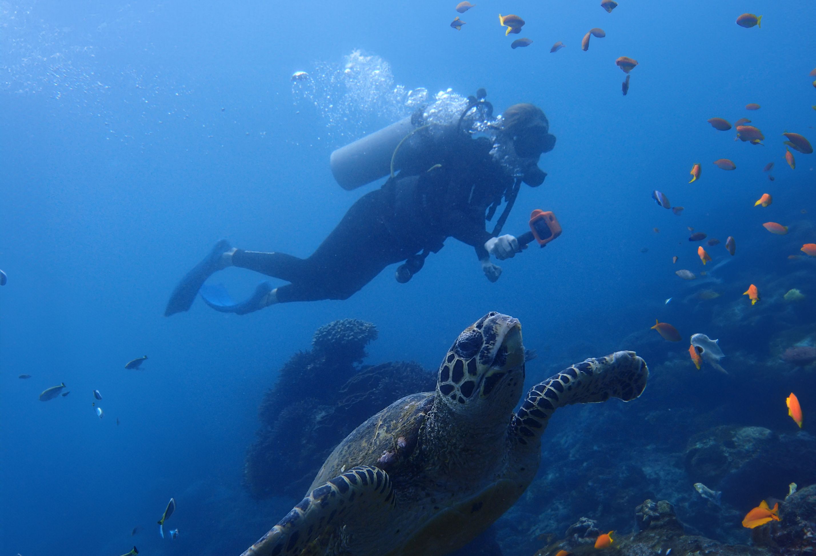 峇里島藍夢島珊瑚遊船＆水上活動（Bali Hai Cruise 提供）