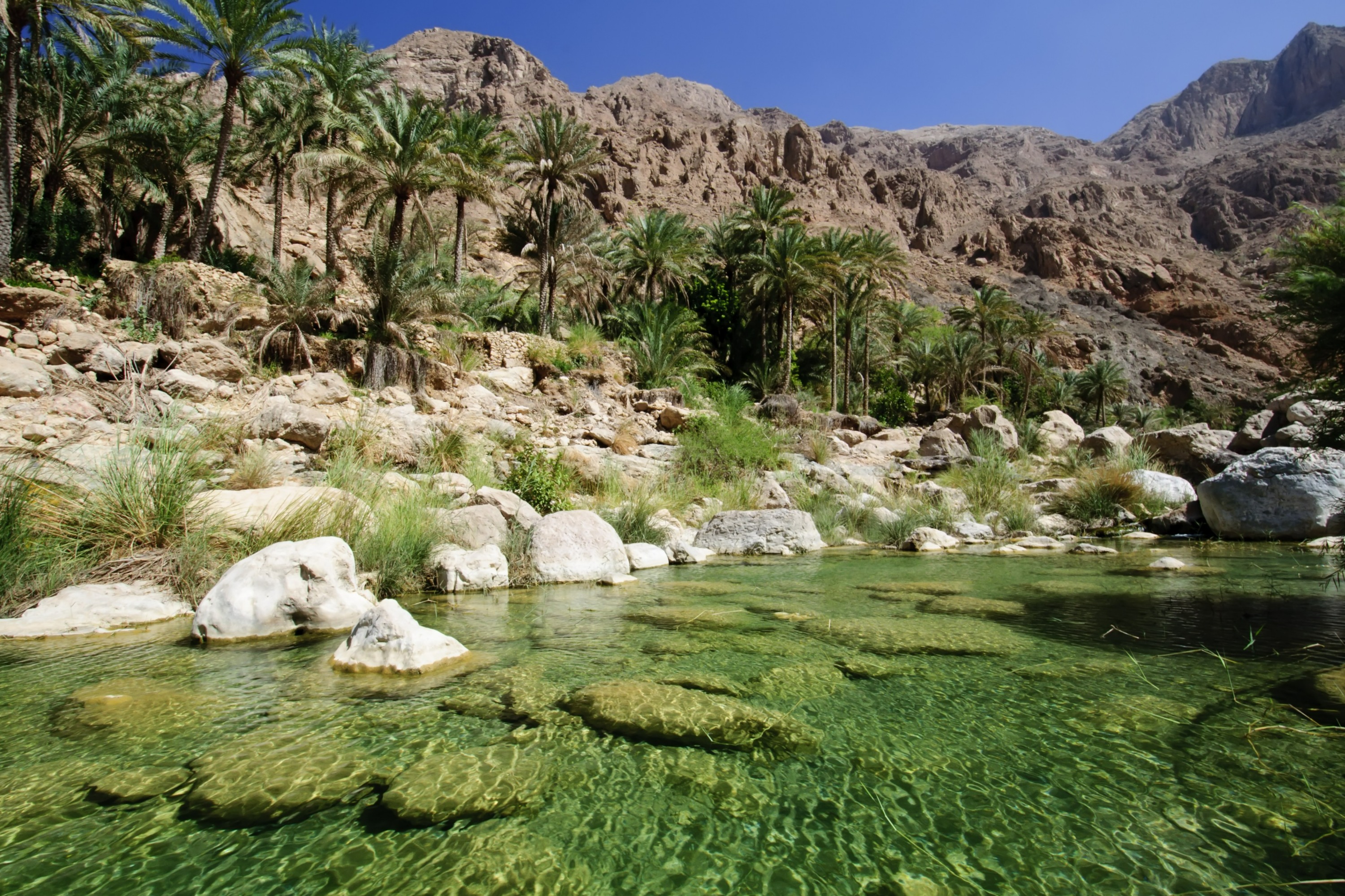 Bimmah Sinkhole, Wadi Shab and Coast of Oman Jeep Tour from Muscat