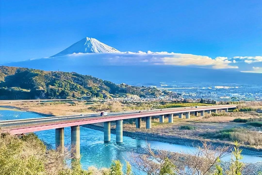 【櫻花季限定】三島大吊橋 & 巖本山公園 | 富士山賞櫻一日遊