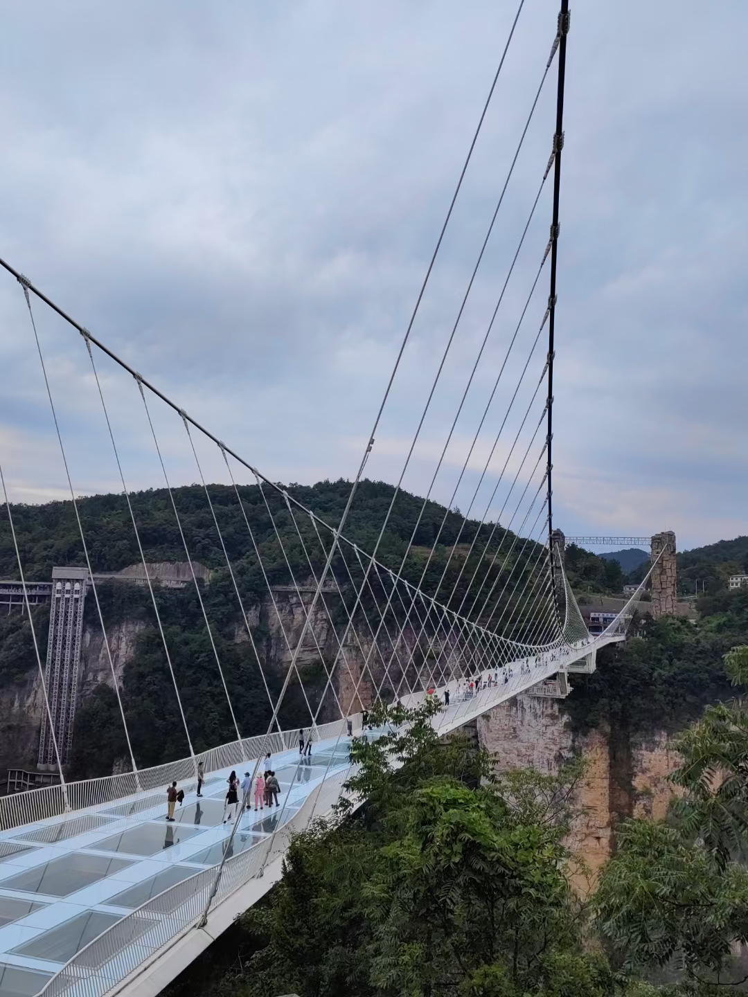Grand Canyon Glass Bridge