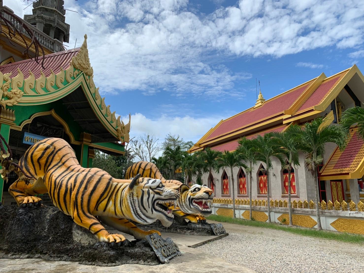 虎窟寺＆翡翠池叢林之旅（TTD Global 提供）- 喀比出發