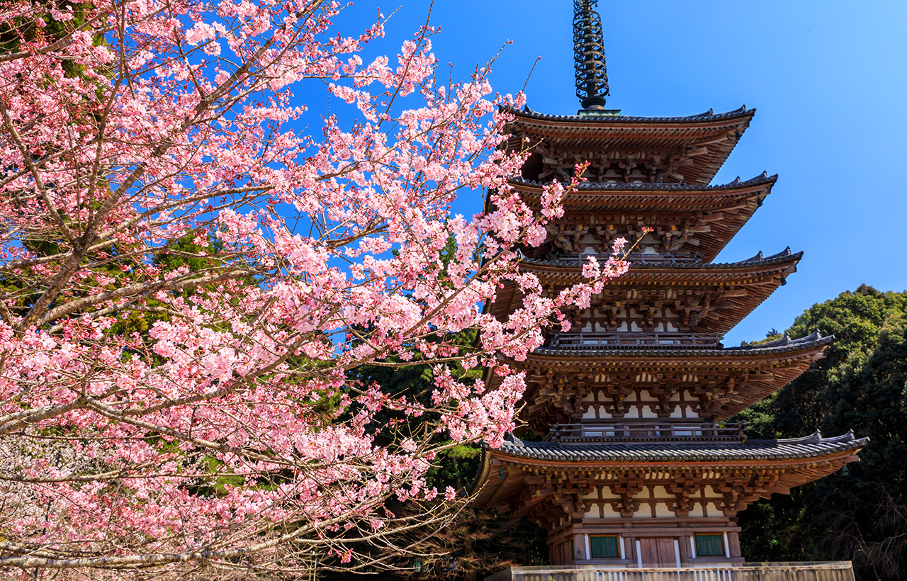 京都清水寺·二條坂·金剛寺·八坂庚申堂·醍醐寺·宇治平等院·源氏物語博物館一日遊｜大阪/京都出發