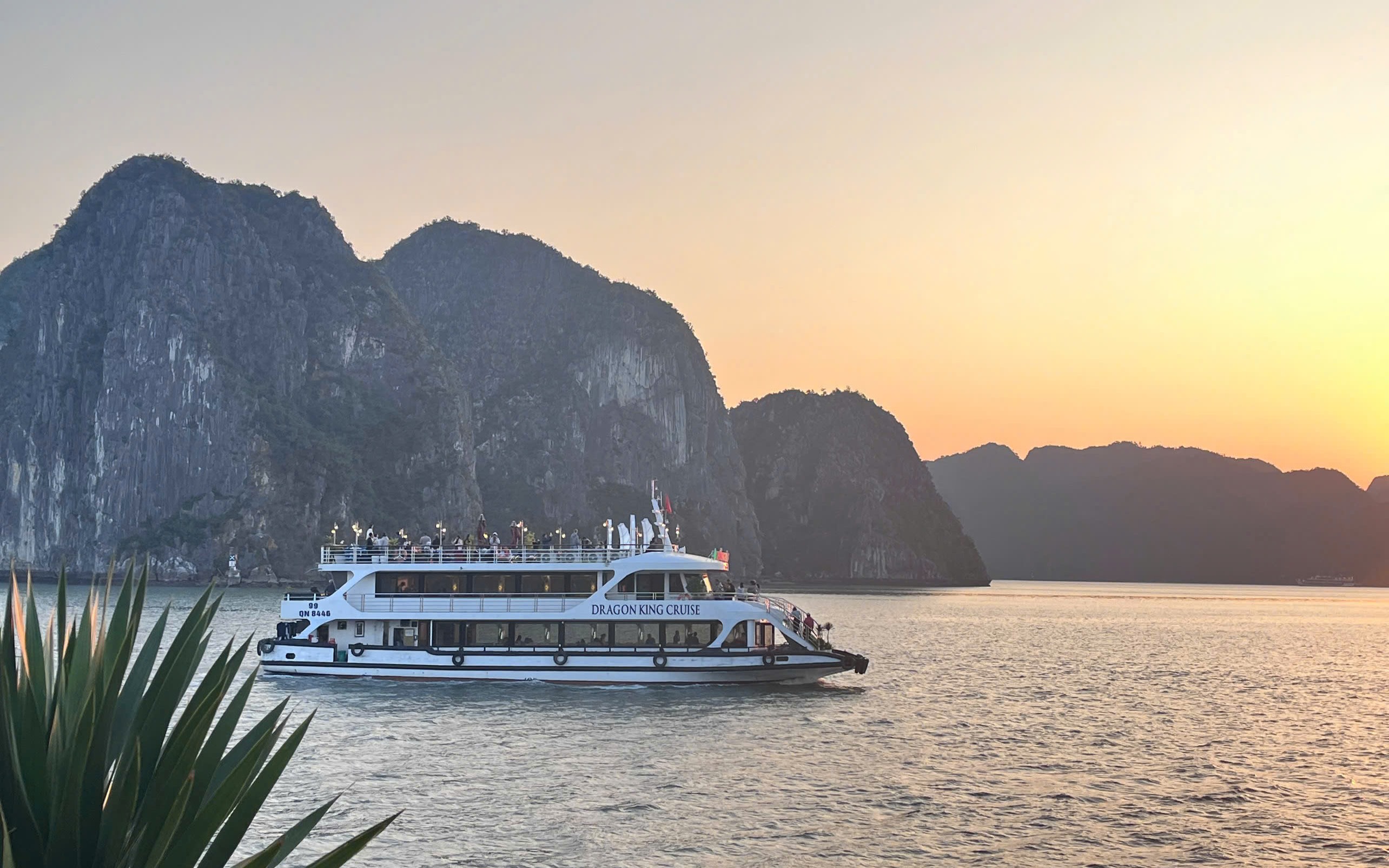 Dragon King Day Cruise: Ha Long Bay Tour with Sung Sot & Ti Top