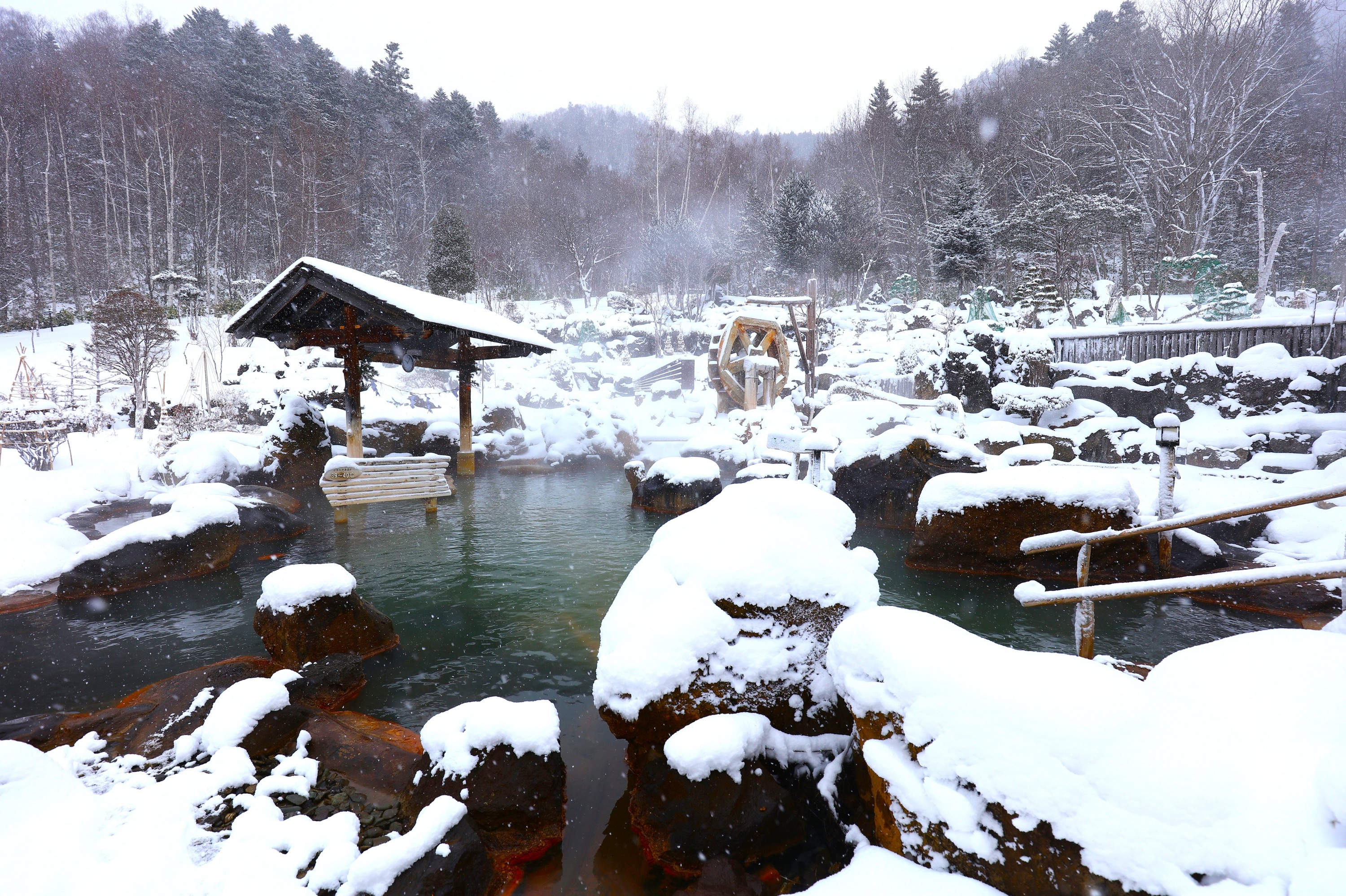 Hoheikyo Hot Spring in the Snow (With Private Transport)