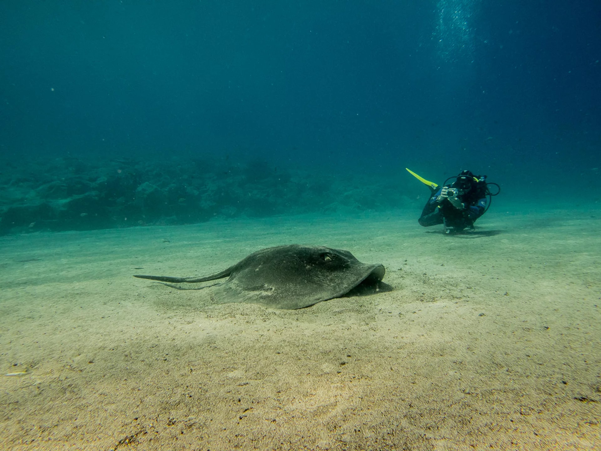 Lanzarote's Nitrox Advantage: Dive Further with PADI 5* Dive Center