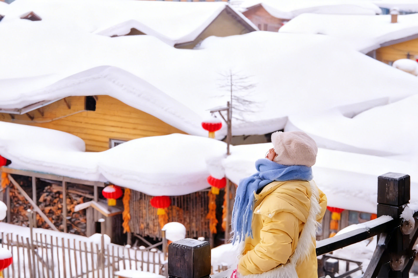 Harbin Snow Town & Snow and Ice Gallery Day Trip