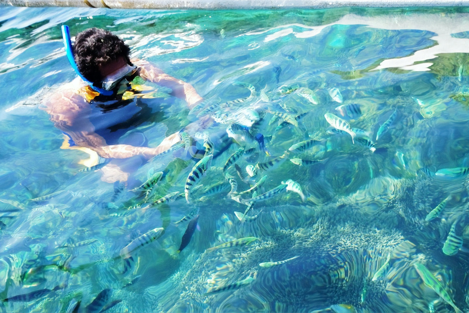 snorkeling at lovina beach