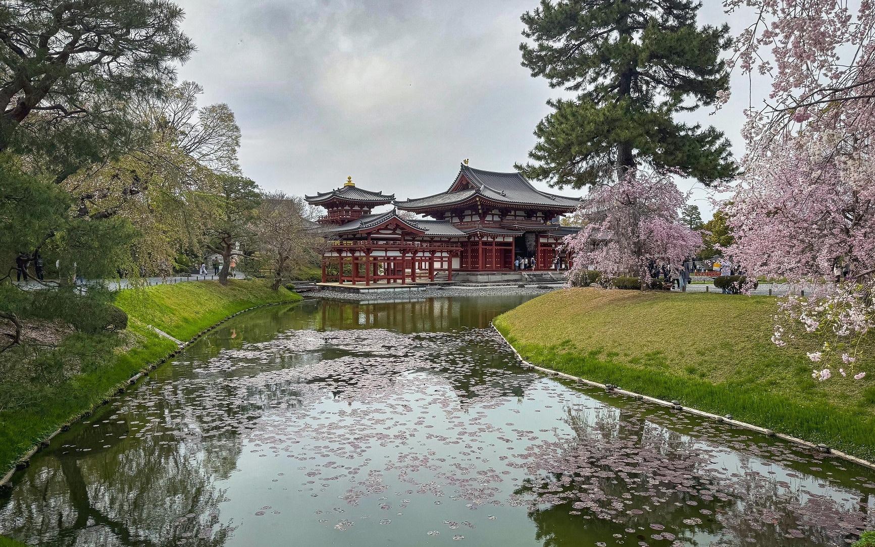 Uji Tea Ceremony and UNESCO Heritage Walking Tour