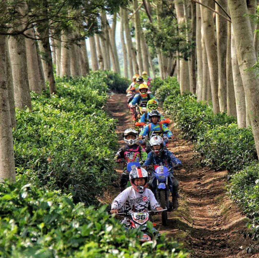 印尼Wonosari茶園摩托車騎行冒險之旅