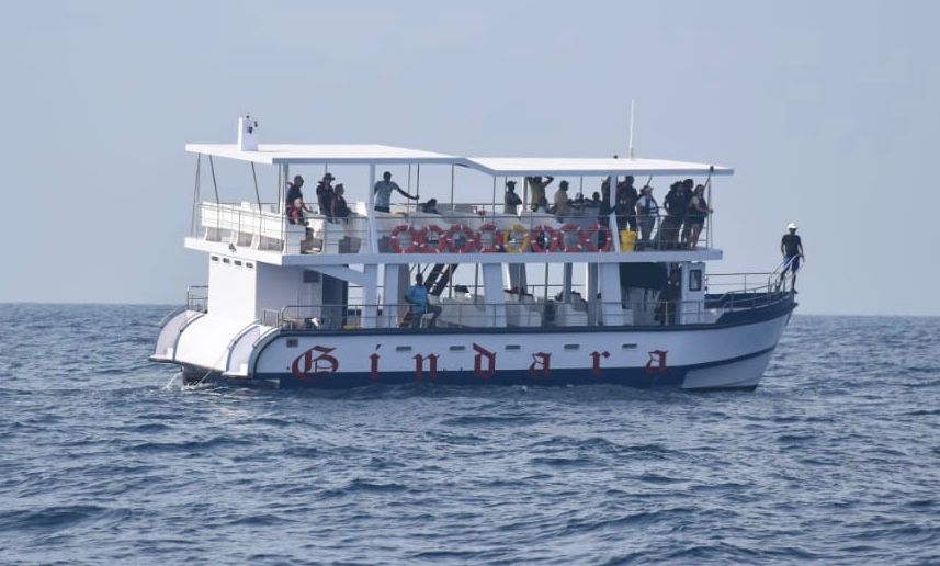 All Inclusive Mirissa Morning Whale Watching Boat Tour with Geeth