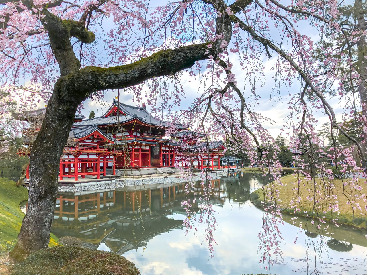 【京都&奈良&宇治一日遊】奈良公園萌鹿&伏見稻荷大社千本鳥居&世界文化遺產東大寺&平等院&宇治抹茶美食街&宇治川&宇治公園&朝霧橋一日遊