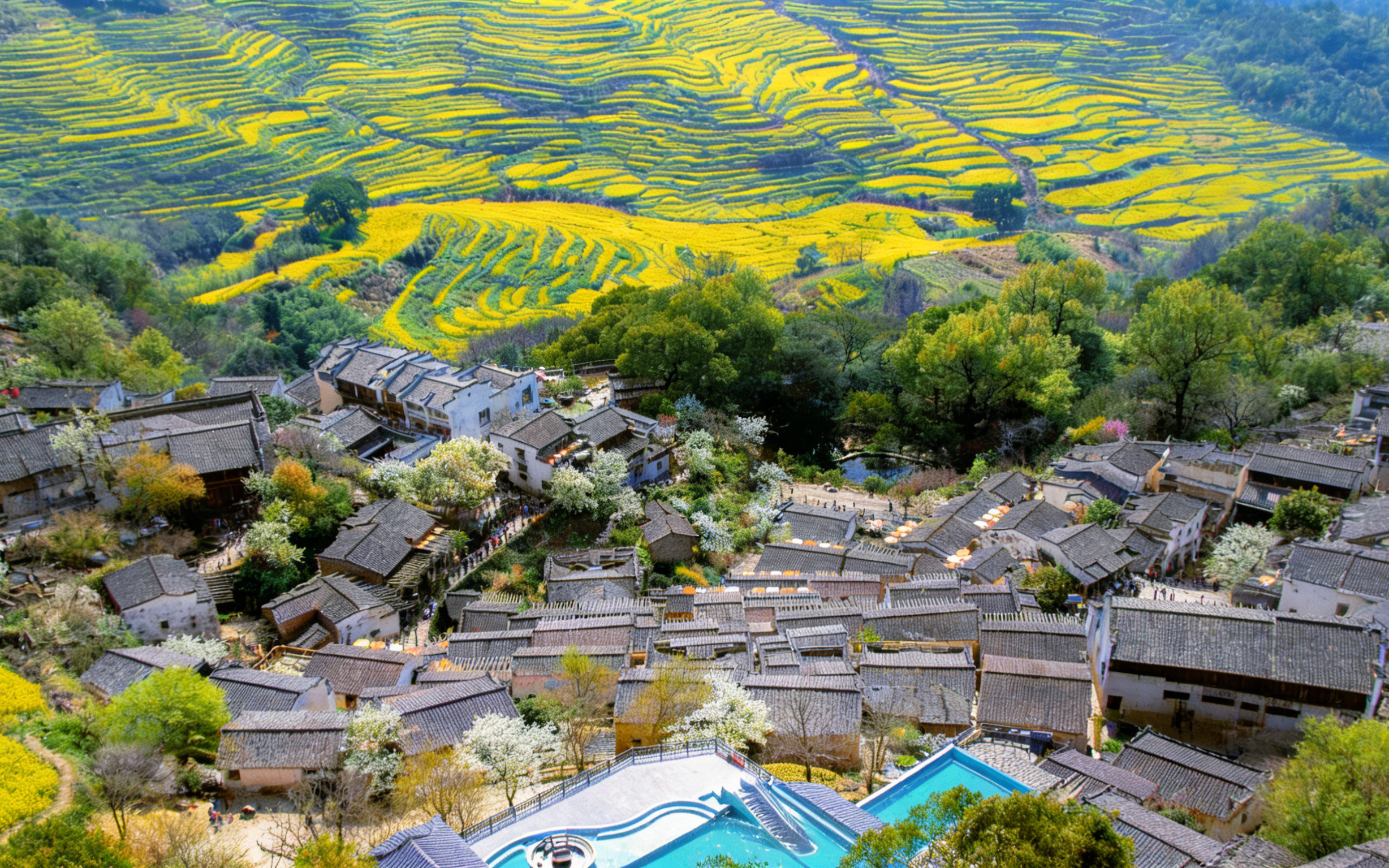 Wuyuan, Jiangxi ：1-Day Canola Flower Tour (March-April)